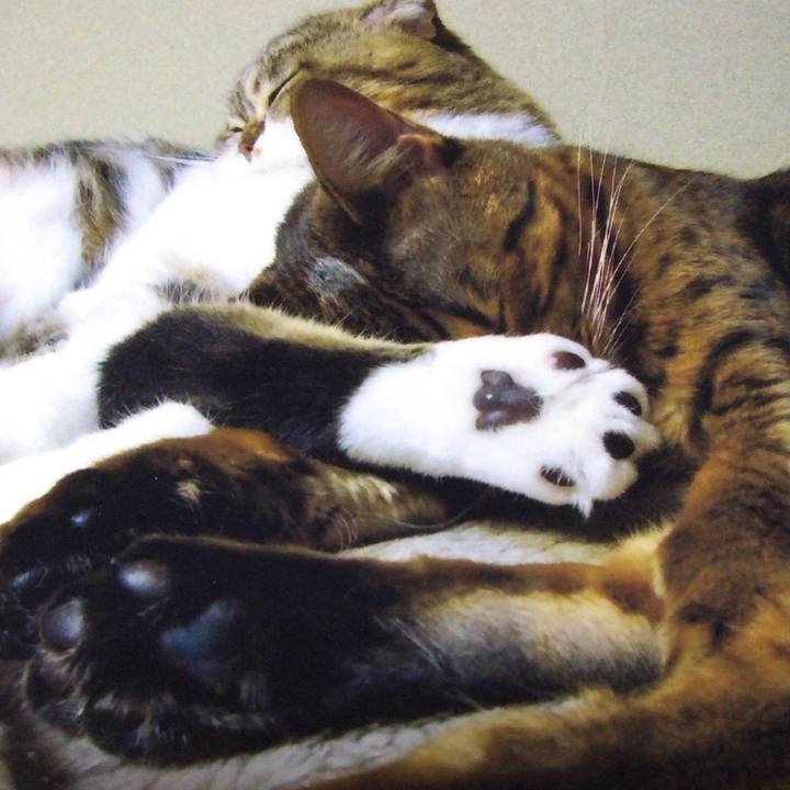 A46407db 84ec 45e5 914b ed5374079f83