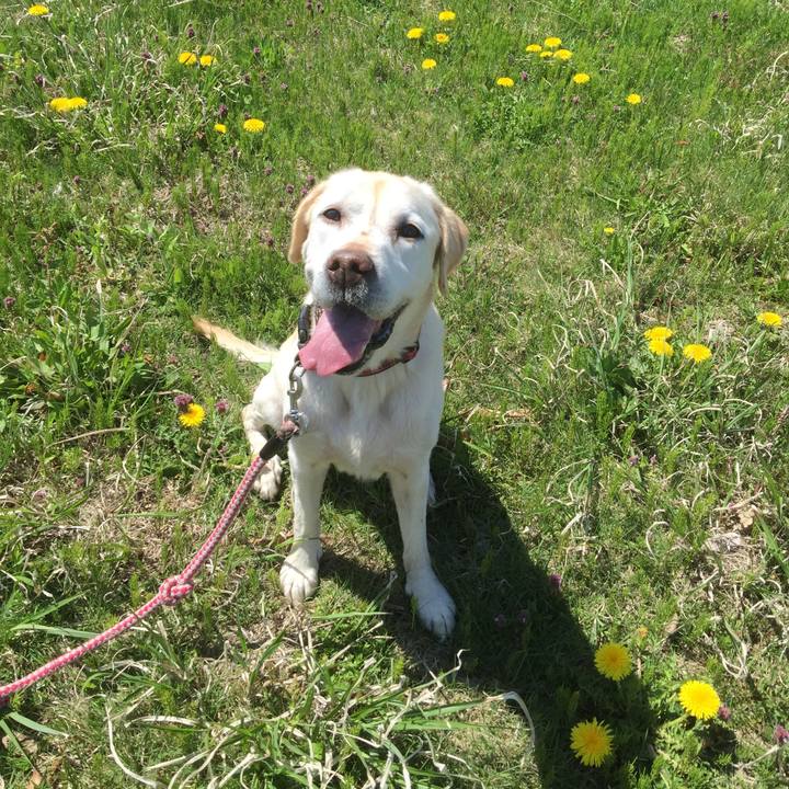 A464383c 4398 4fc7 a651 8554b98c3f99