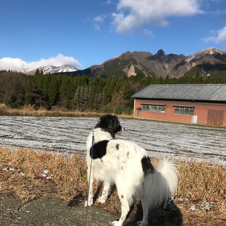 A4652aac 8409 4bd2 80da 64935dc9ea4e