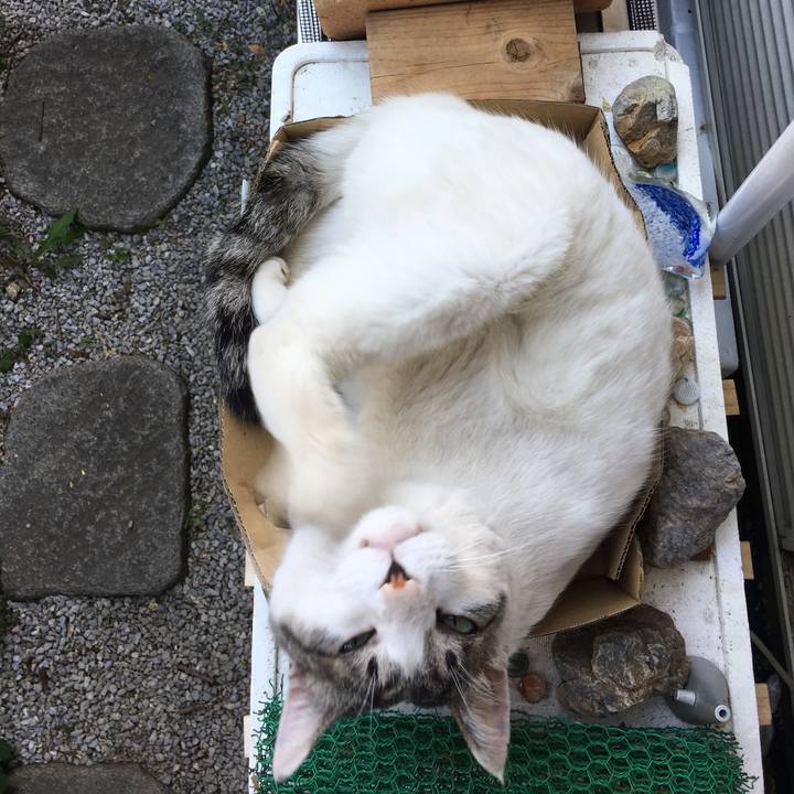 A4659bba 6b26 4b51 98f3 60eeba86adee