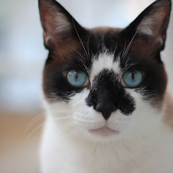 A465f189 1b1a 45fa 84a4 90ec6eb7e644