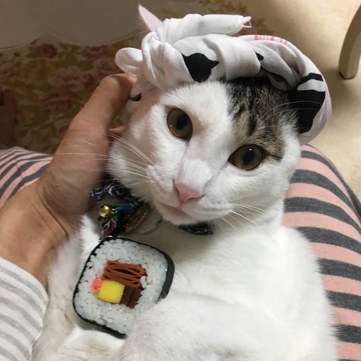 A4660c2e 8da4 4e7c 8901 3f30f756e527