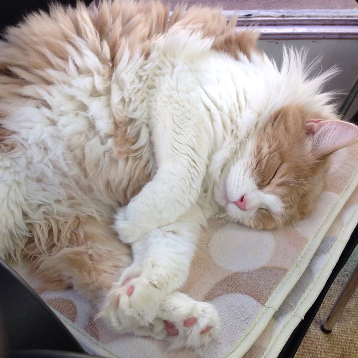 A46715ad 2fc3 4391 8fec 614de9293473