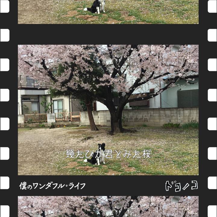 A467adc0 1e64 4ce7 85d3 8d75ecd8ef74