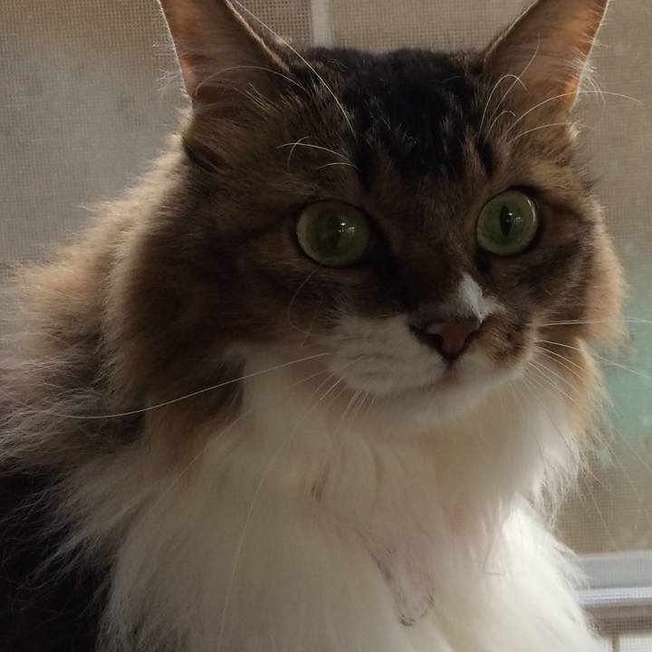 A467e1c3 d891 4894 9dde 8d40c4aa99c7