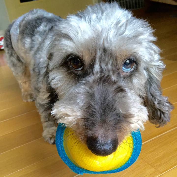 A467eb03 308d 4910 a45b 363c2d1aeae8