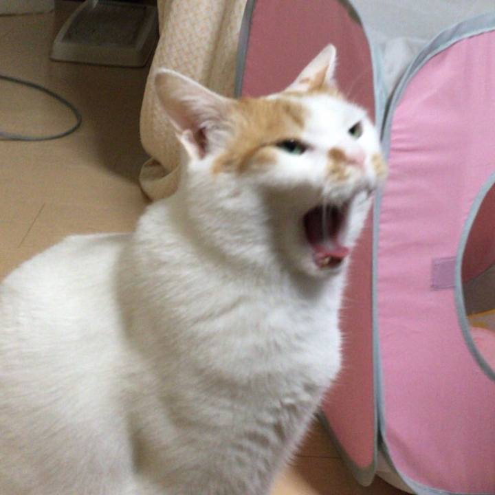 A468246f a130 49e8 a537 f8417478d3b6