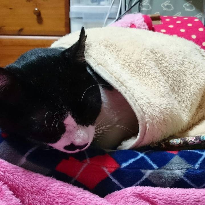 A468547d c743 48db aeb5 12fee884b760