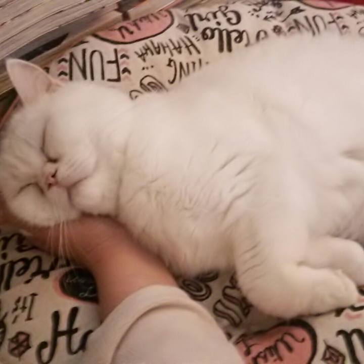 A468581b 03e3 4338 bd7a c61e2f03ca33