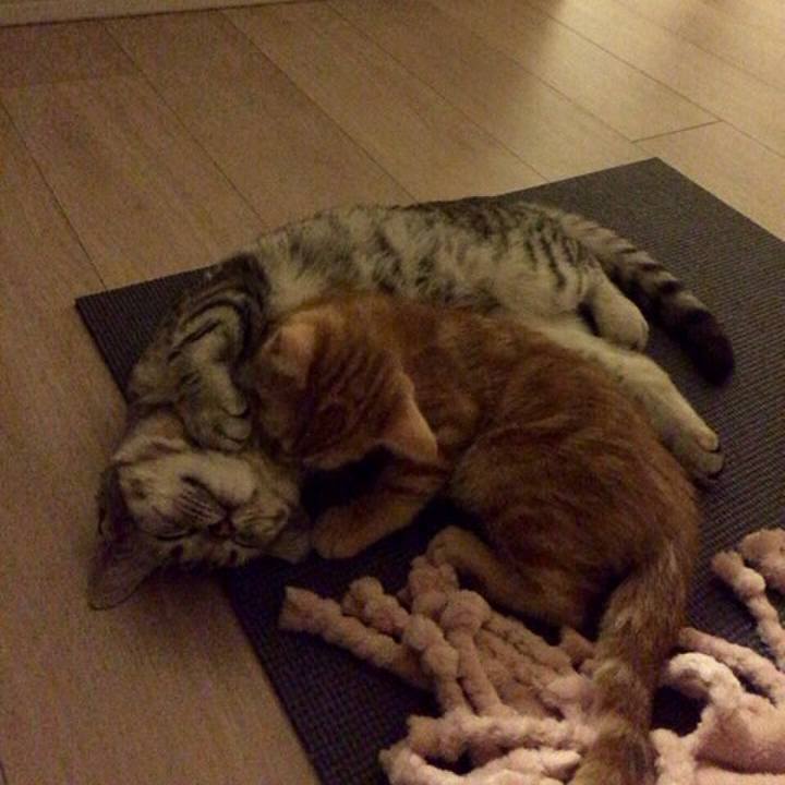 A4685bac c139 4475 bdcc 526514f7bf6f