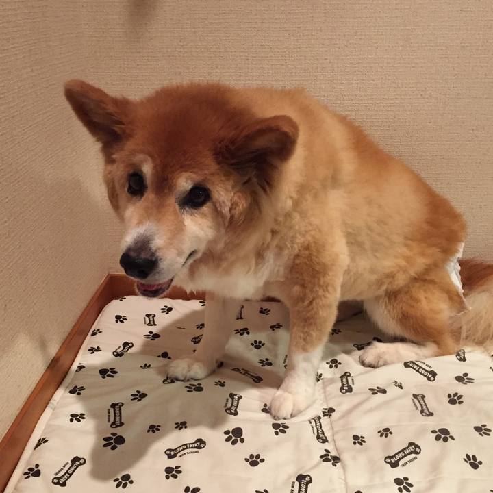 A469af2b a46b 407a 9035 1dab08e6c4a8