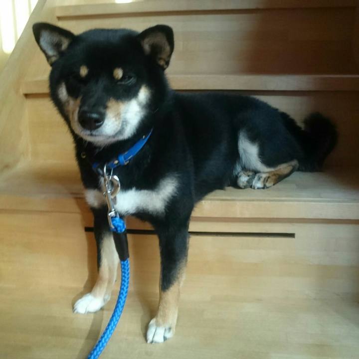 A469c997 35f9 437c b515 f7c6a901e56e