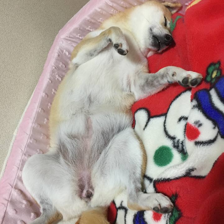 A46a67bf 23bc 46d0 b000 d2c93ce89003