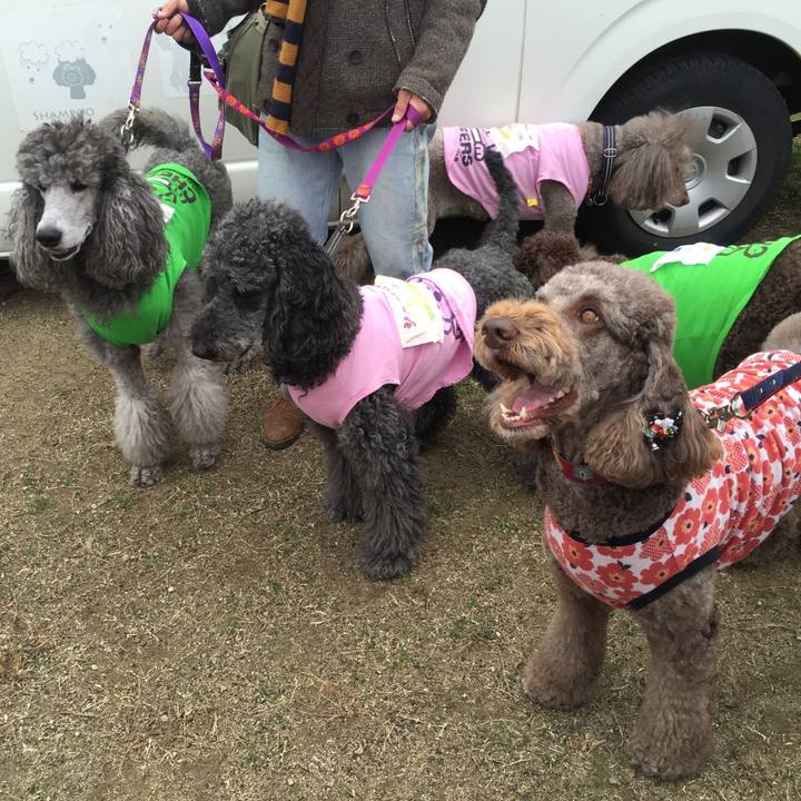 A46af528 f41f 4868 bfb4 9e8744b8f83e