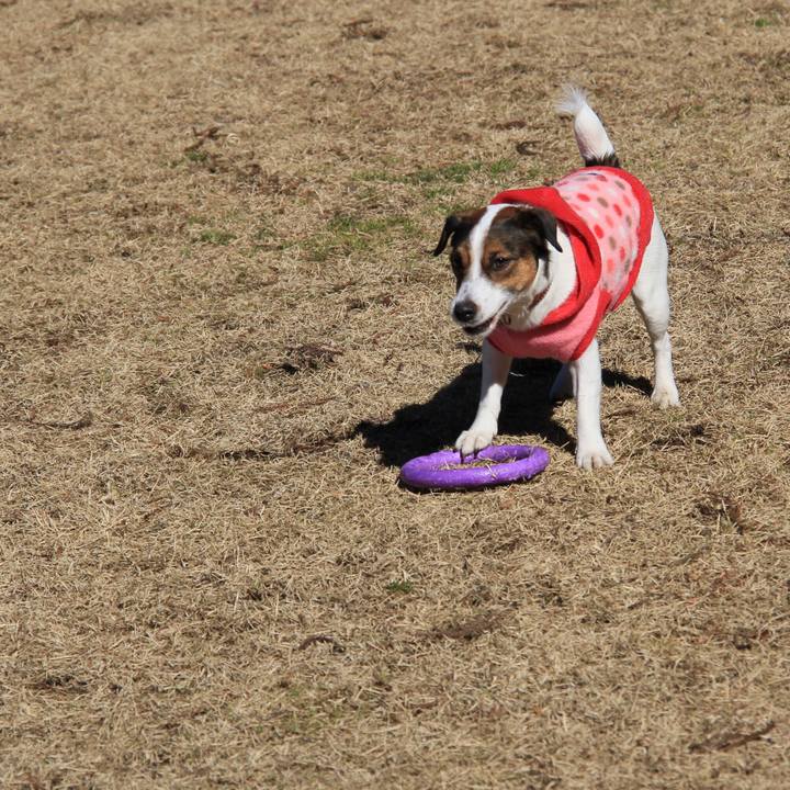 A46b5040 dd04 4442 818b f41fc329f9c5