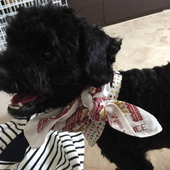 A46bfd82 b472 4915 89fd baf55569d5fa