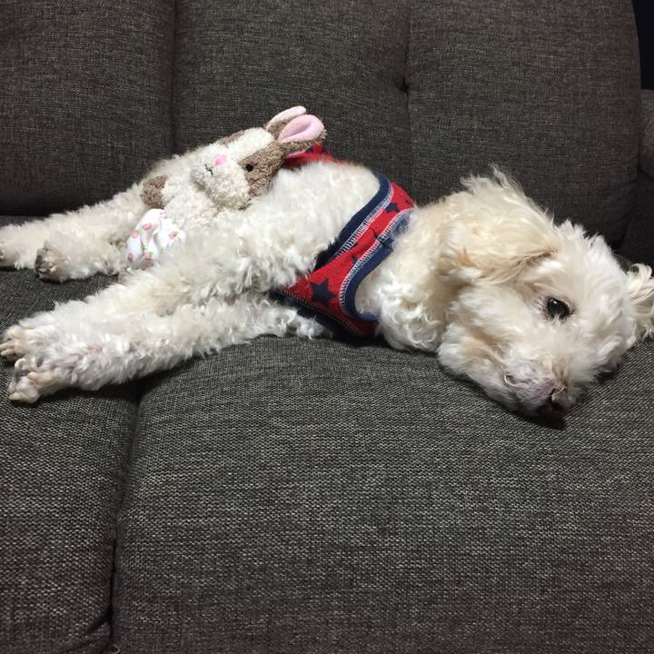 A46c20e6 b535 41f1 a2b5 98767364158c