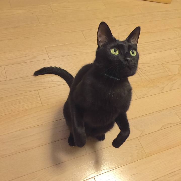 A46cb07b 9bea 4f86 8758 f67753f4339b