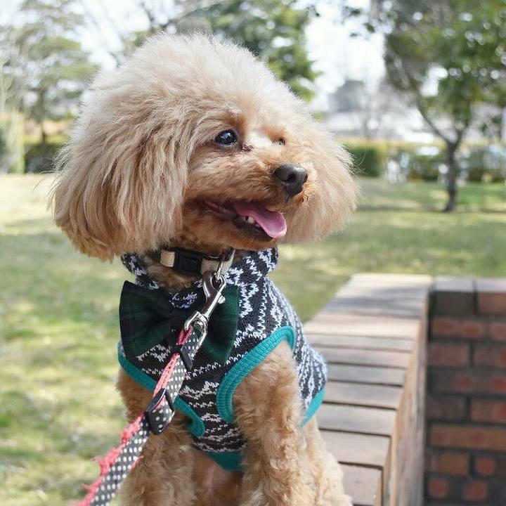 A46cbf64 3600 4f16 9ac7 d67bec747929