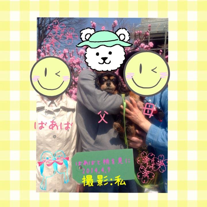 A46d3ac4 5b7c 4a64 9ae1 c895687d78ad