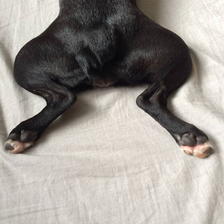 A46dcd82 0528 4c9d 8f10 744f88909f82