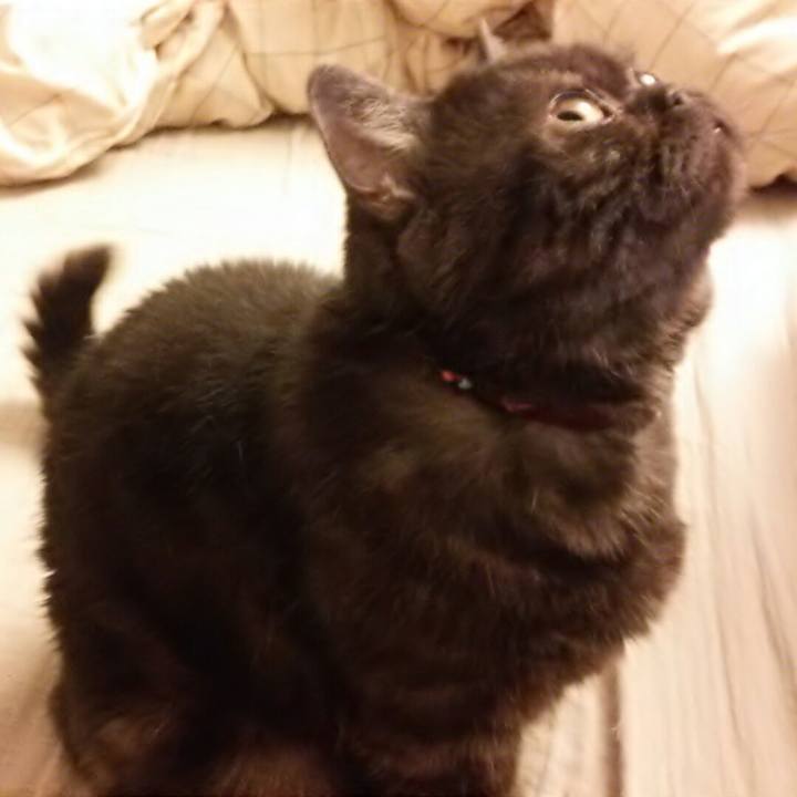 A46e060d e2de 4b9e b12b 46e2f80b7616