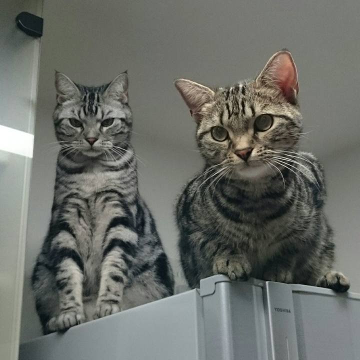 A46ed815 6fca 47c6 a517 d1037bf651d8