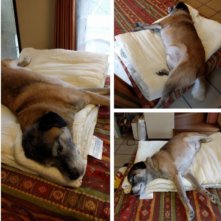 A46f023f 4420 4dcf 987e 2bcd6bda34e5