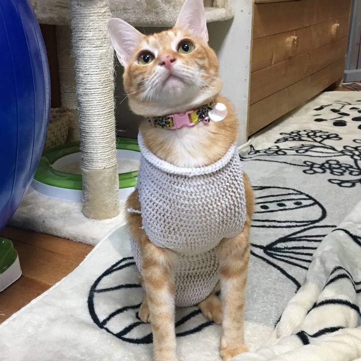 A46f3364 e95f 46fd a353 4623ce71f84e