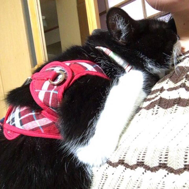 A46f750c f551 4cbc aa4a 60c29d61a4ad