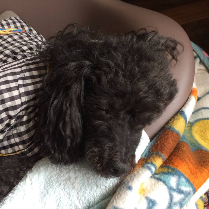 A46fb2b5 1cd8 49ac 9dbb 58a8401ea62f