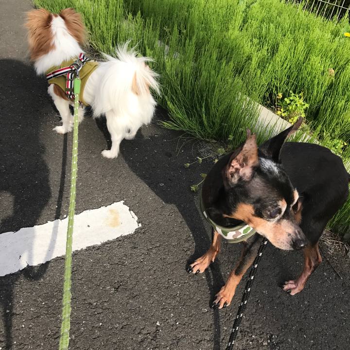 A46fccf8 50a6 4233 8a51 d202f39f813f