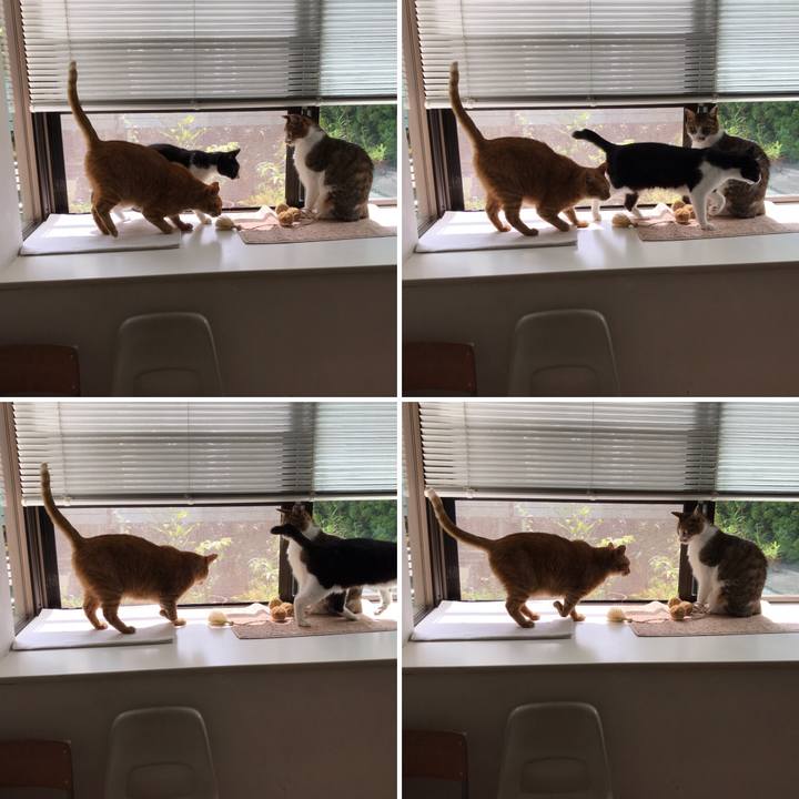 A46fe96b 00a3 4324 b4d3 447b73f065fd