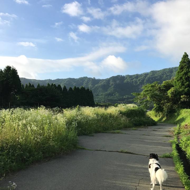 A4701fa8 53c6 4ae6 b242 9ecb0c0a4937