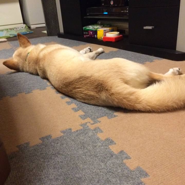 A470e4a6 18ad 430e afbb 2a5e222de4c1