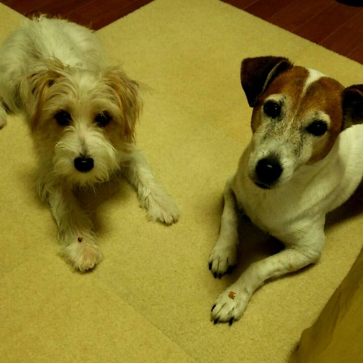 A470e757 5e88 464d a2b5 5ffa212ce8ba