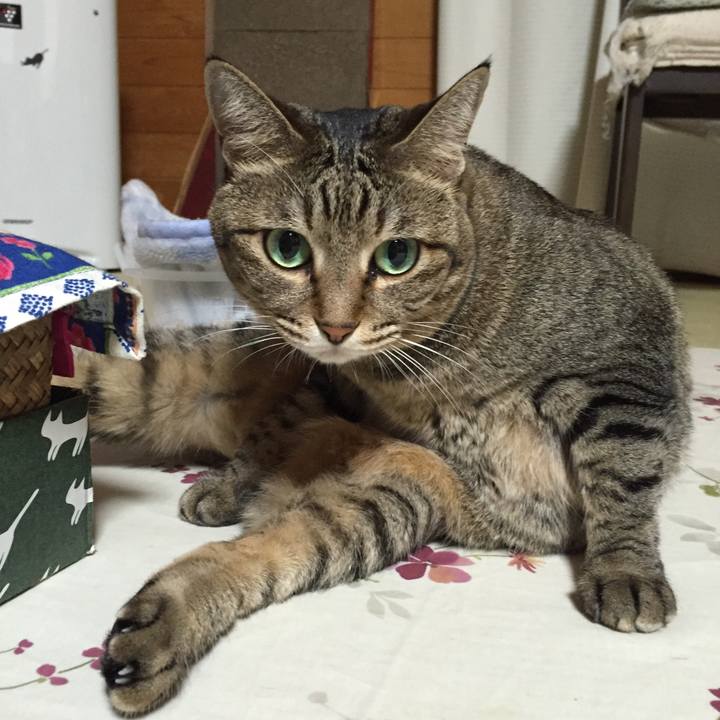 A4714ca0 ecfe 4f87 9de8 5137dbe24366