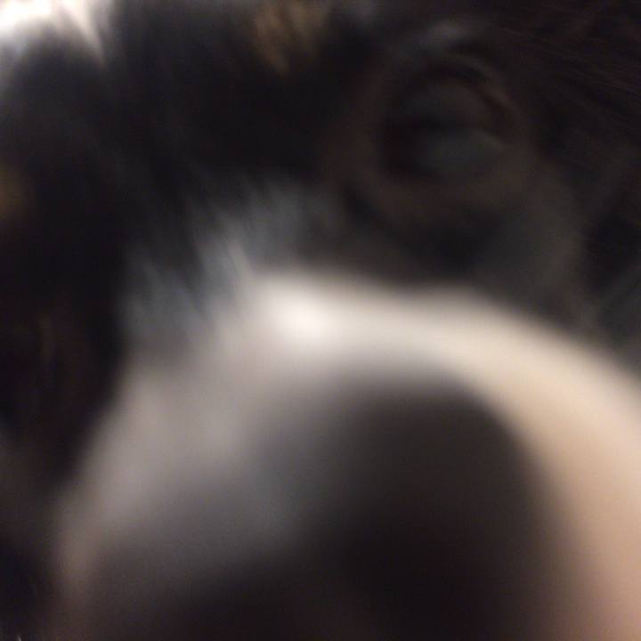 A4716049 fbd2 4ad8 a104 f60e9efd706b