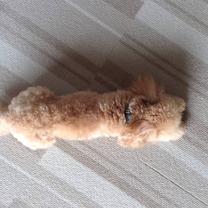 A471682d a925 426b b2a3 00898db84694