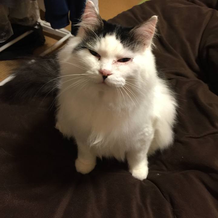 A471a157 c37b 42d8 a51c 696a87615eab