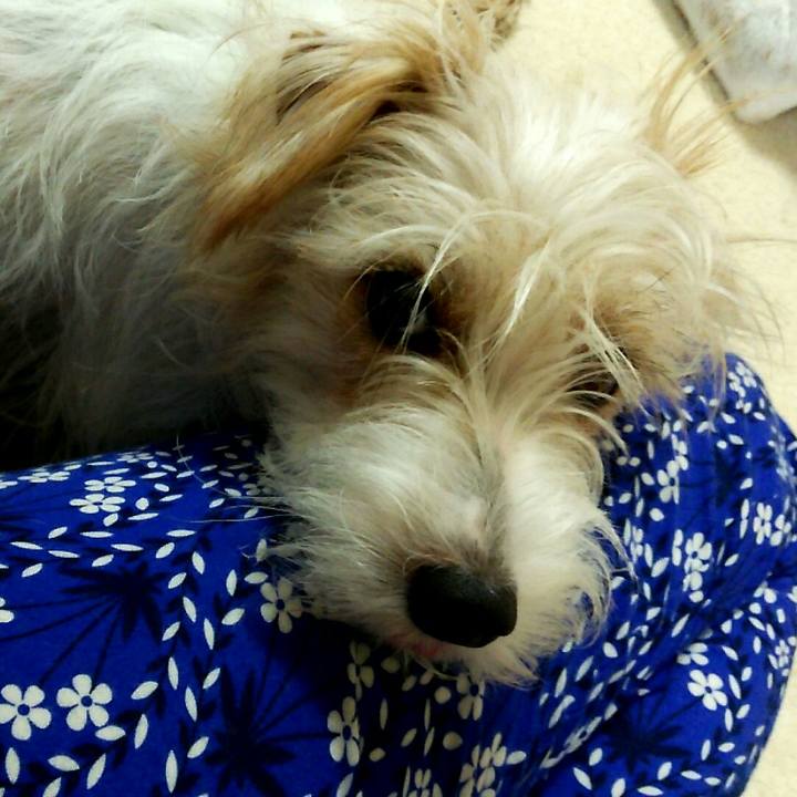 A471b6a3 ab24 4e95 89fd f8d8e455e652