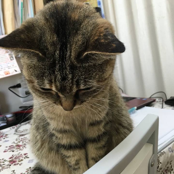 A4724a7e e6be 42a4 8460 3f5aa425d521