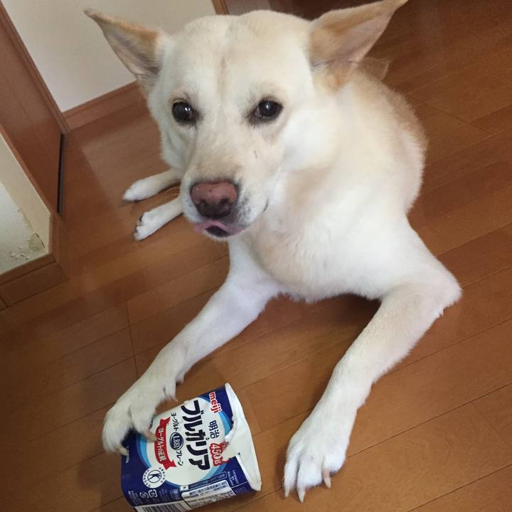 A472d1c2 d2b0 41d9 bb02 5cfb64823728