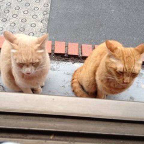 A472de45 5252 47b0 906a 6cb0108d5d74