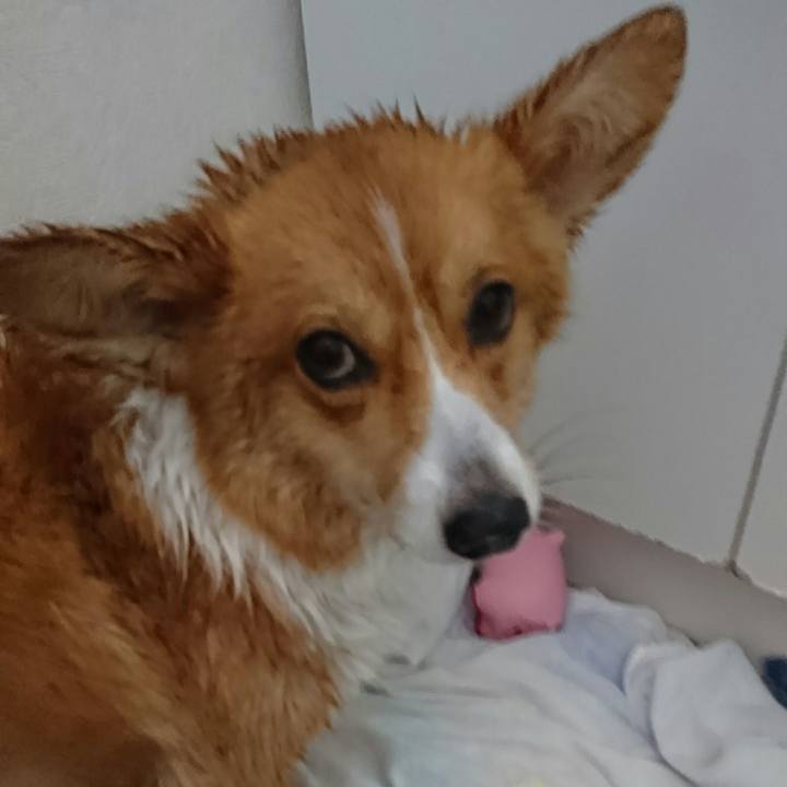 A4734374 7919 42d7 b657 a3a6d3150d97