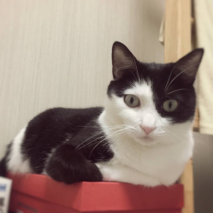 A473bcec 049f 4ca0 924c a037267daea6