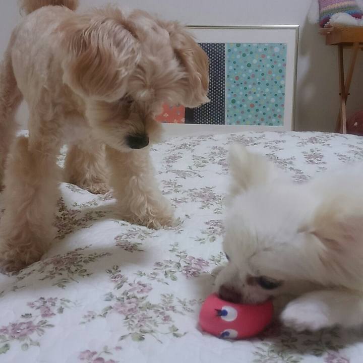 A47401b8 2fe0 42db ba25 4a9c1e8f25b1