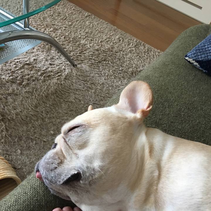 A474805c 1d86 4cbd 8fdd 8f592bea086b