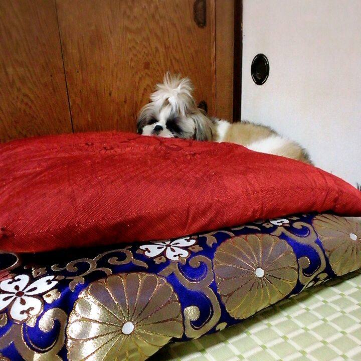 A475b6fb 2872 49bd 80d0 731d82e22f44