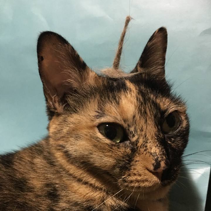 A476f92c 40e1 480a bff2 f9f810ee6d32